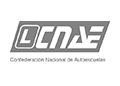 CNAE - Confederación Nacional de Autoescuelas